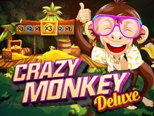 Crazy Monkey Deluxe game icon